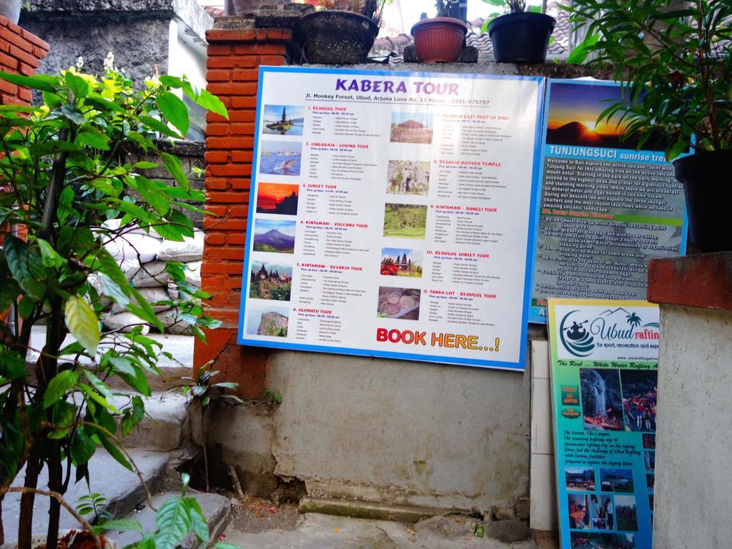 Kabera Bungalow 3 Ubud Buitenkant foto